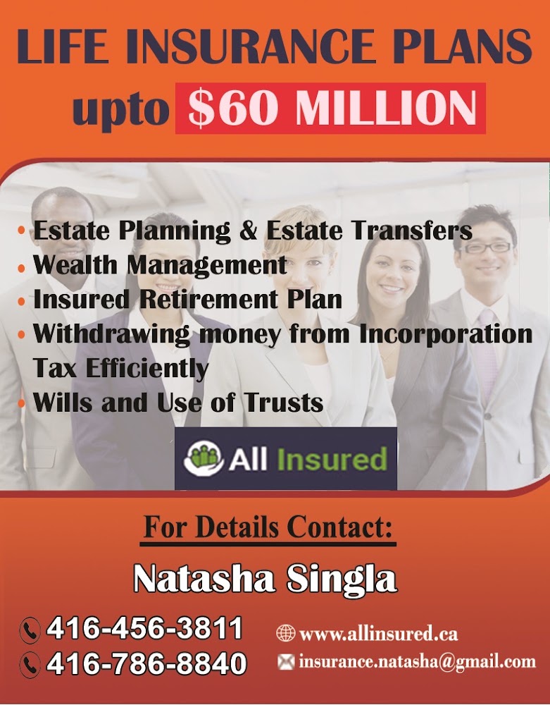 All Insured Insurance Agency Inc.